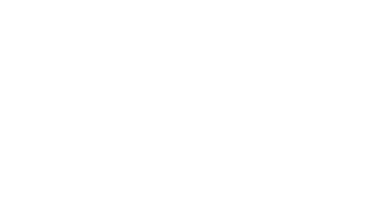 ADIDAS PERFORMANCE