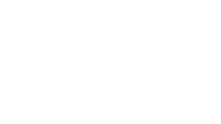 FELABAN 60