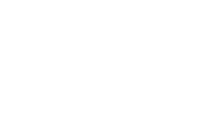 Intercorp Retail