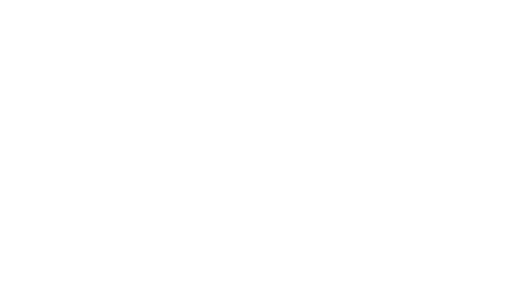PACIFICO SEGUROS