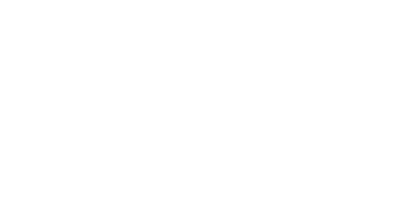 PERUS SOTINBLE