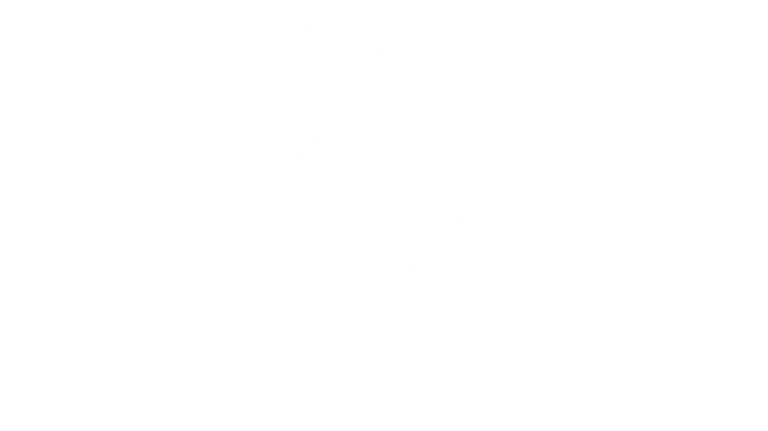 VIVANDA