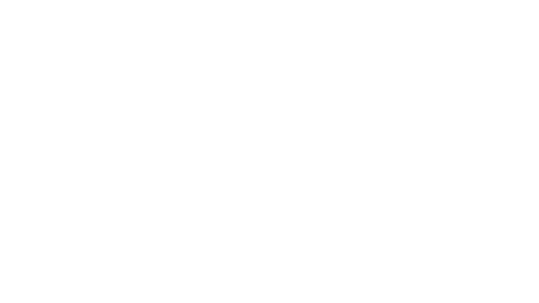 WOW FEST